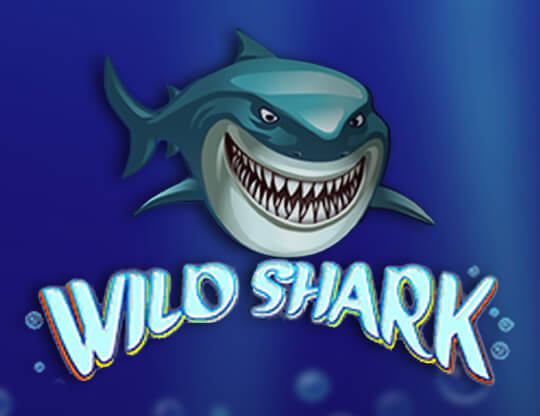 Wild Shark